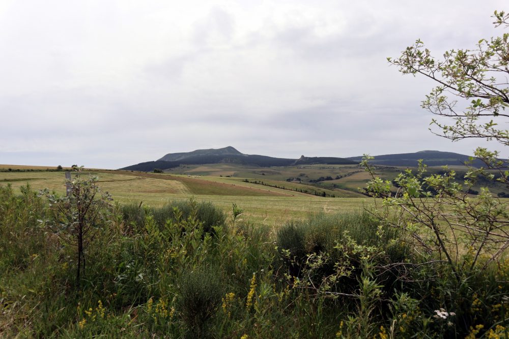 Panorama vers le Mont Mézenc