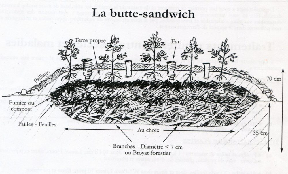 La-Renouee-des-Sens_Butte-sandwich-Robert-Morez