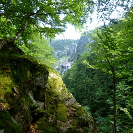 Rando-course à la cascade d’Ars – 13,7Km / 960m D+