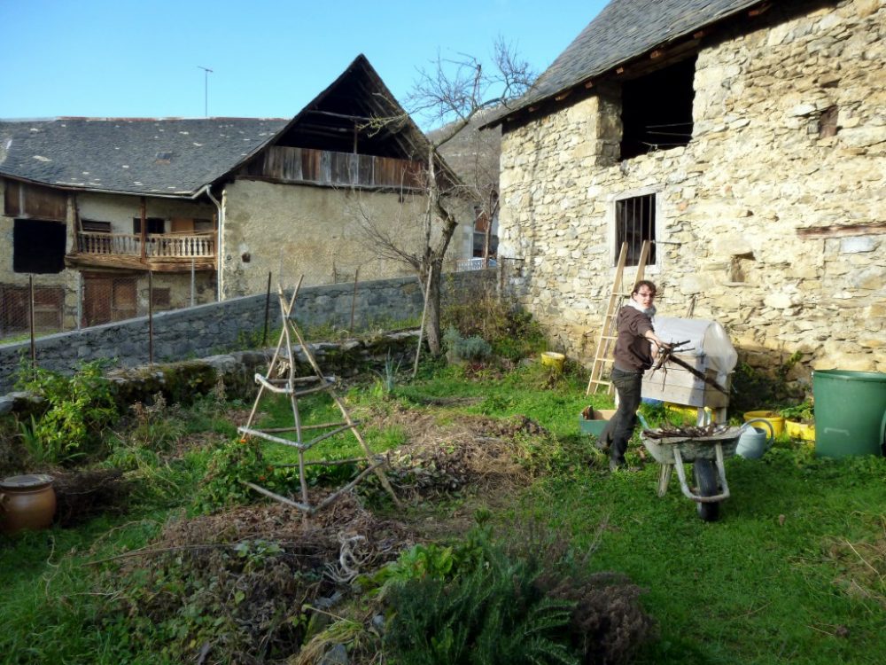 Suppression des branches dans la butte