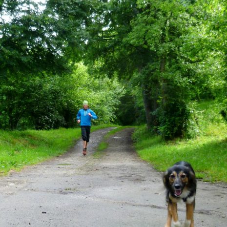 Échauffement canin !