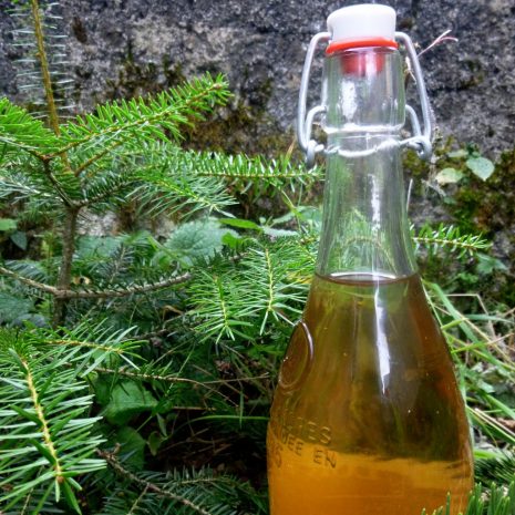 Vin blanc aux bourgeons d'épicéa