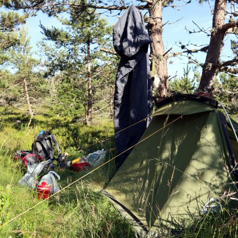 Bivouac dans la tourbière