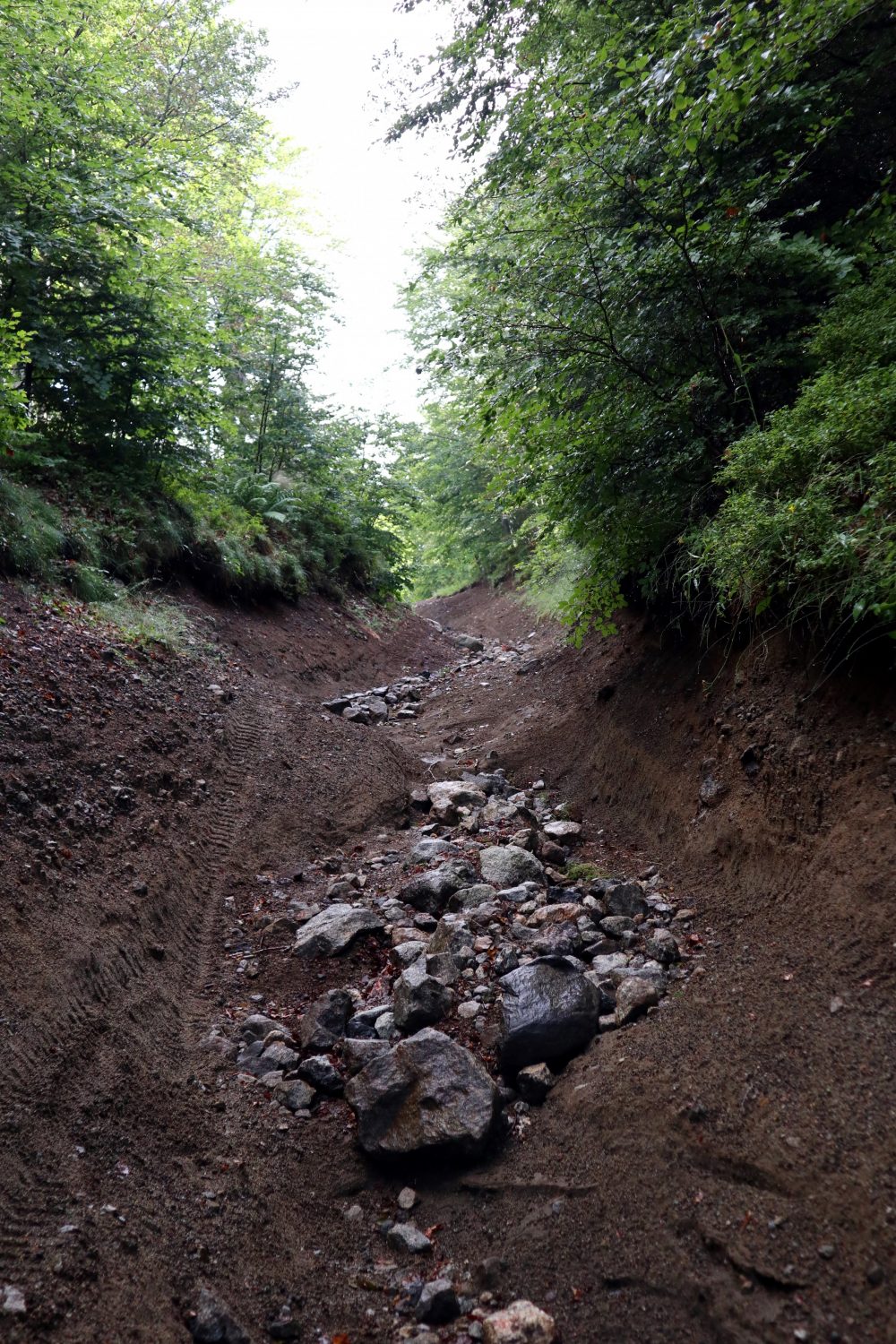 Le paradis des VTT et des randonneurs ;)