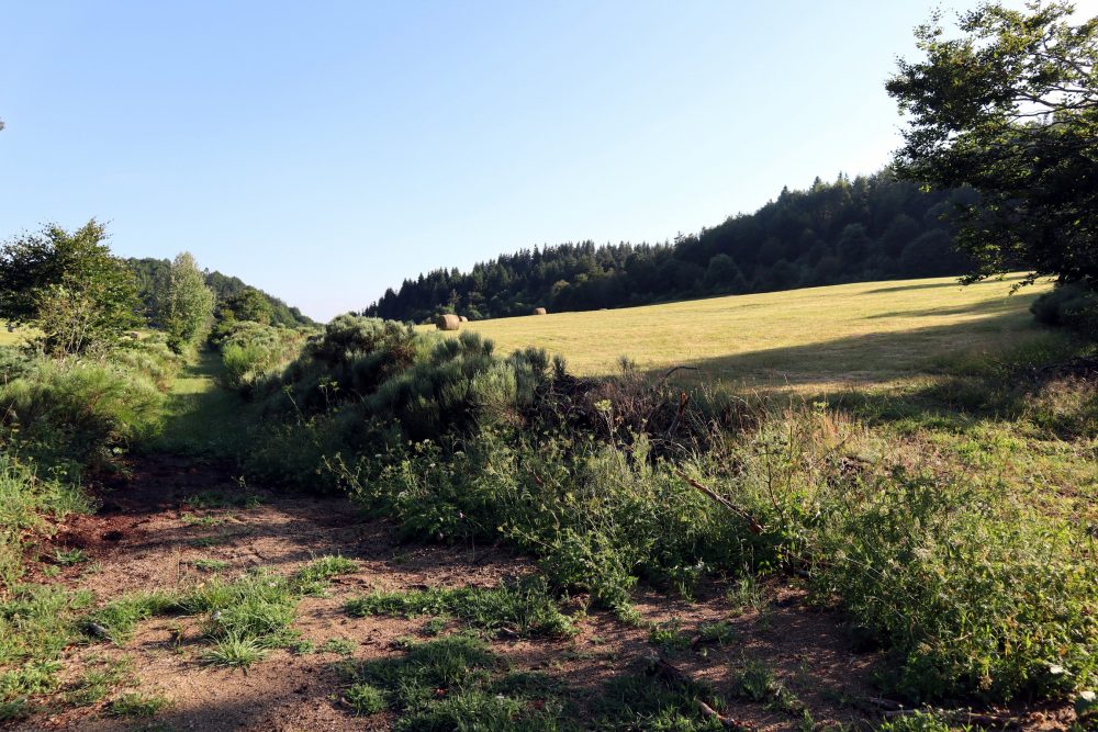 Petit vallon de Fontolière