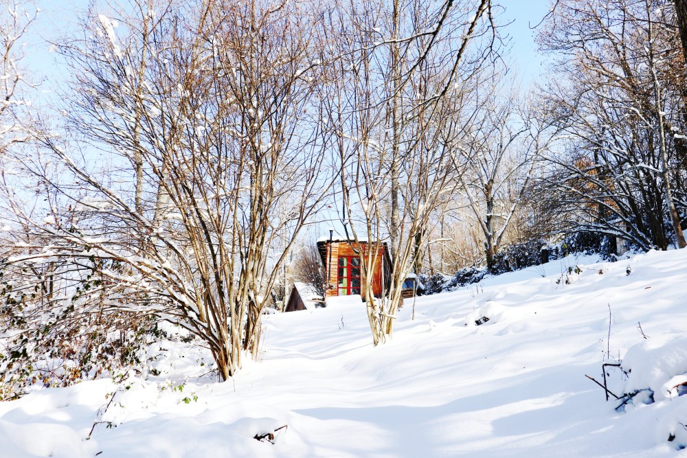 La cabane, au sortir du bois