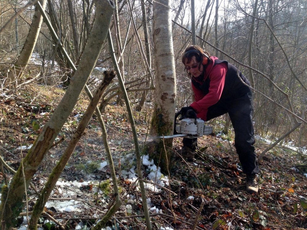 Je n'aime pas "tuer" des arbres, alors autant le faire proprement...