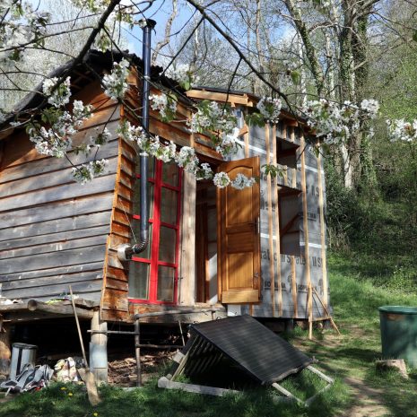 Vite ! Agrandir notre cabane avant d’emménager