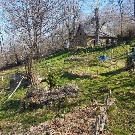 Une partie de notre clairière, côté grange