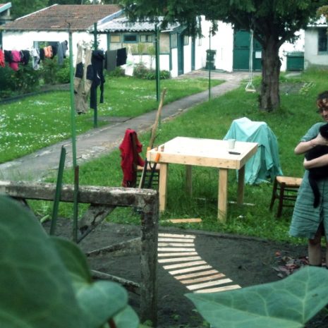 Petite rétrospective du jardin : 2013 ou le potager traditionnel