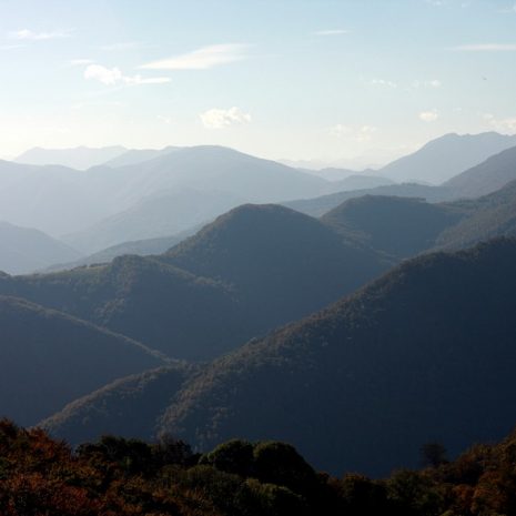 Trail au Castel Segui