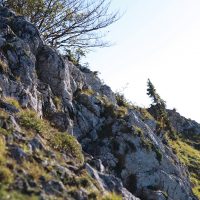 La-Renouee-des-Sens_20141029_13