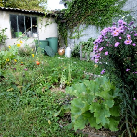 Petite rétrospective du jardin : 2014 ou le potager en butte sandwich